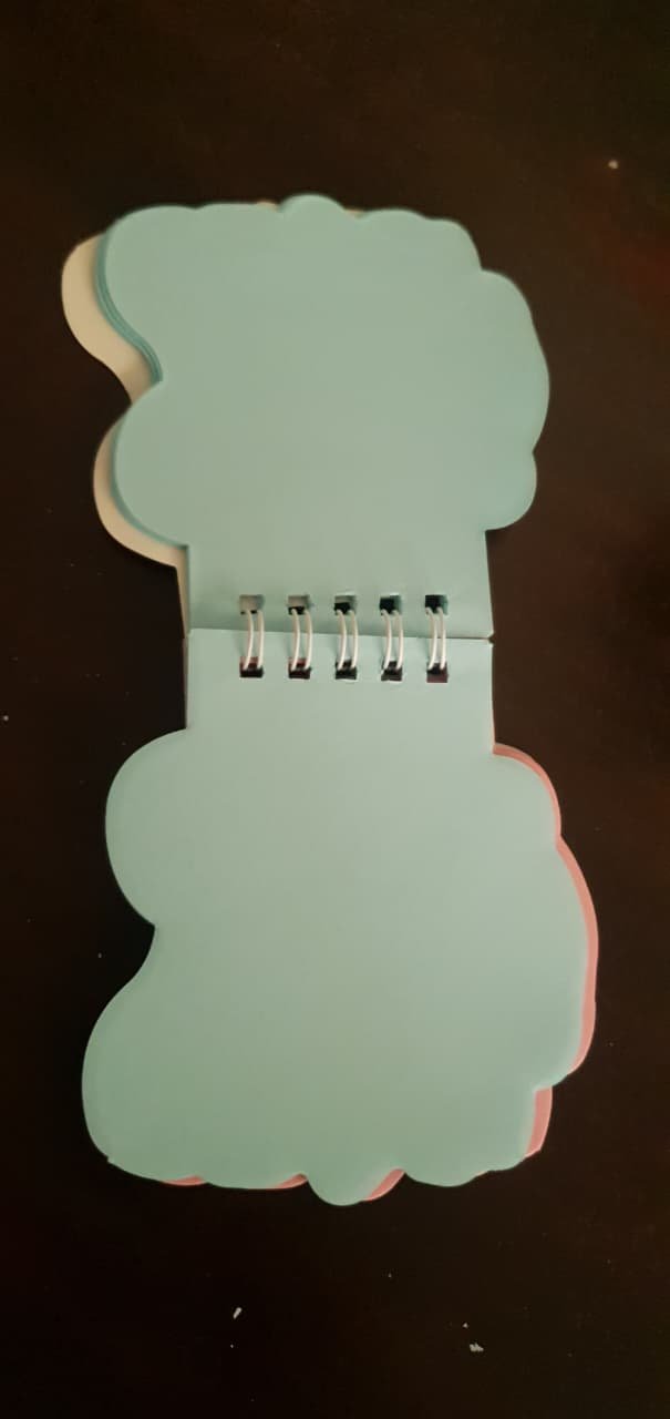 Teddy Pocket Notepad ???? 