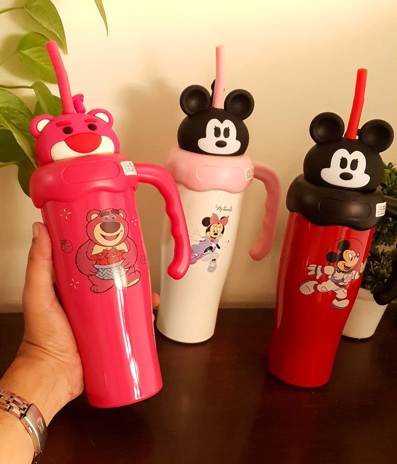 Disney Theme Insulated SS Sippers 