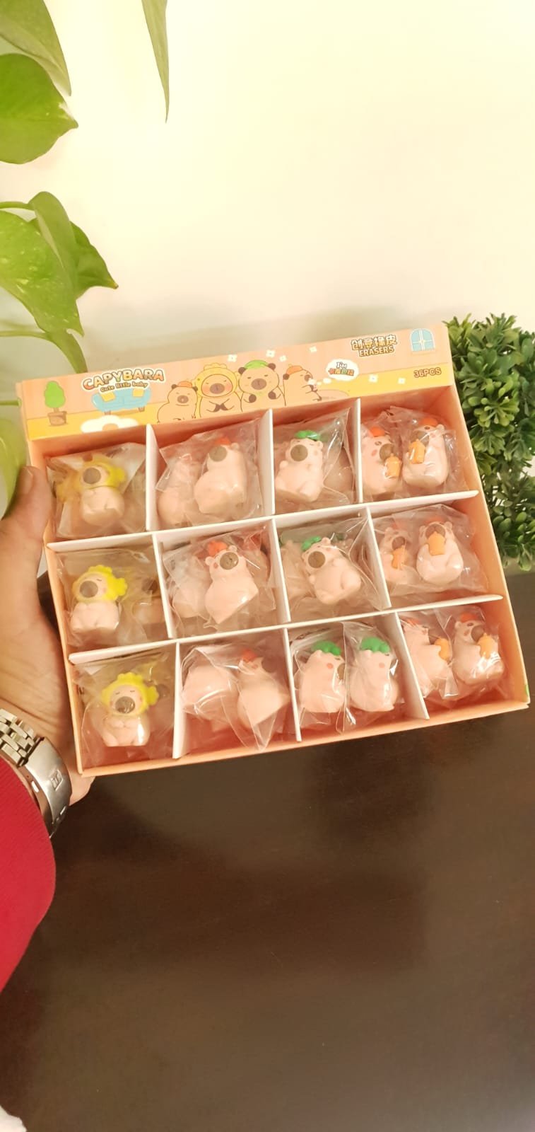CapyBara 3D Erasers 