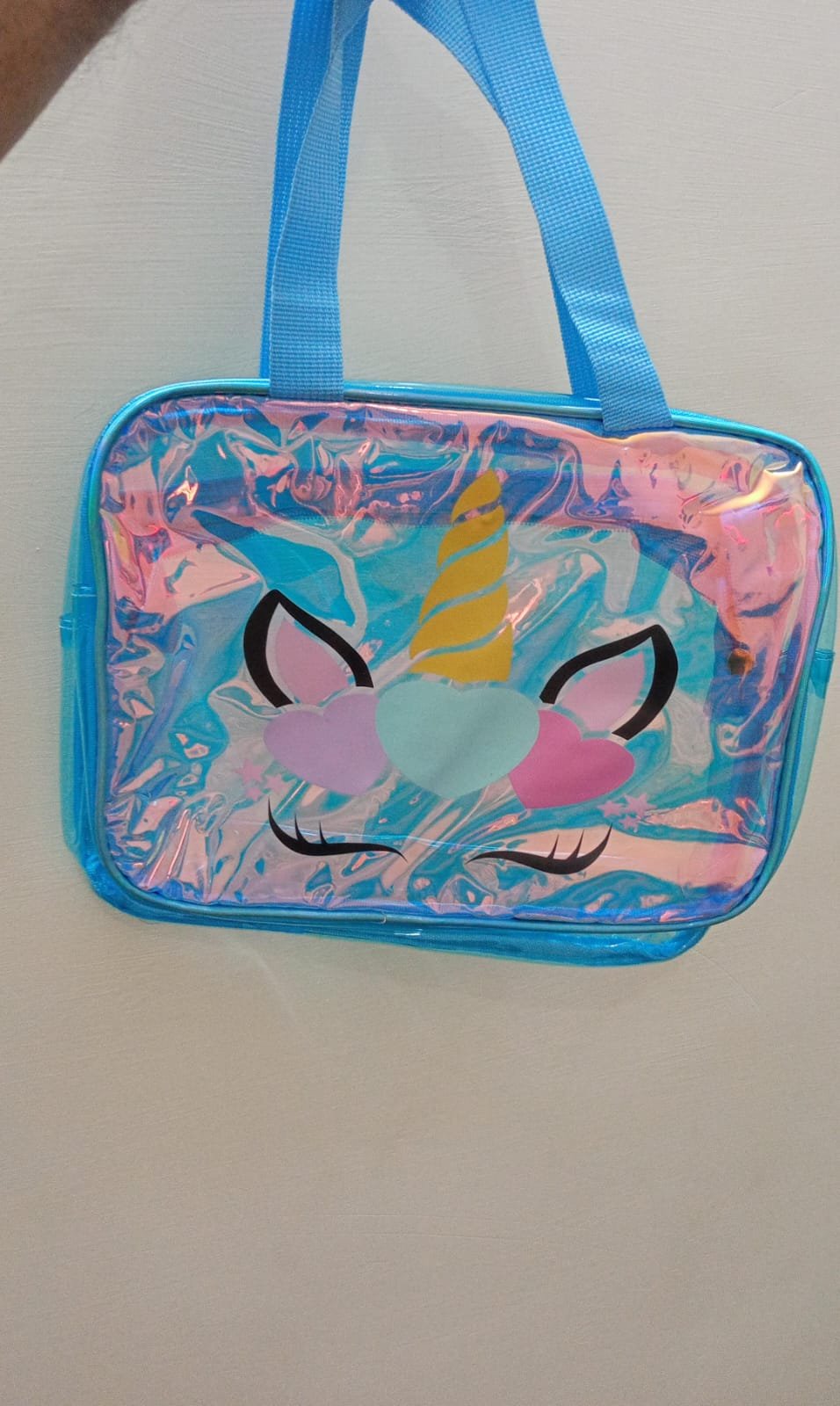 Holographic Bags