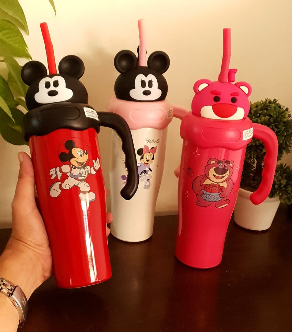 Disney Theme Insulated SS Sippers 